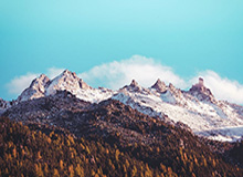 GA黄金甲登录入口-杨瀚森：希望借NBA新春贺岁活动分享我们的文化