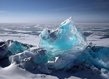 GA黄金甲-双探花重谈乌度卡离队 塔图姆：有些事情需要保密